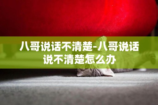 八哥說話不清楚-八哥說話說不清楚怎么辦