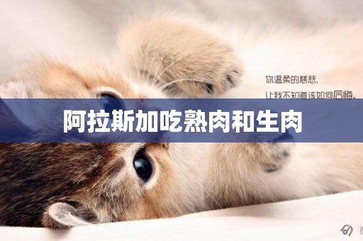阿拉斯加吃熟肉和生肉