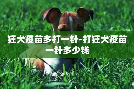 狂犬疫苗多打一針-打狂犬疫苗一針多少錢
