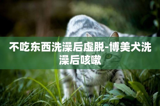 不吃東西洗澡后虛脫-博美犬洗澡后咳嗽