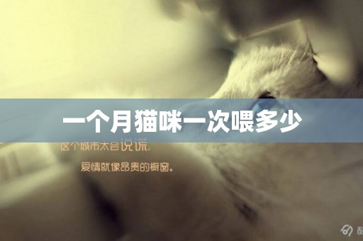 一個月貓咪一次喂多少
