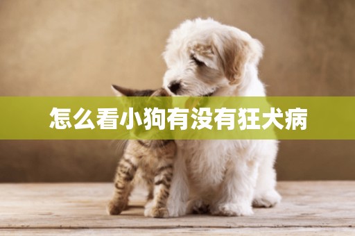 怎么看小狗有沒有狂犬病