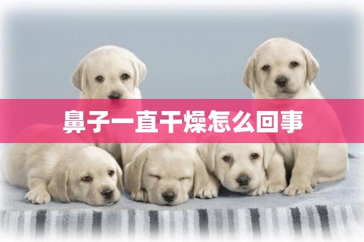 鼻子一直干燥怎么回事