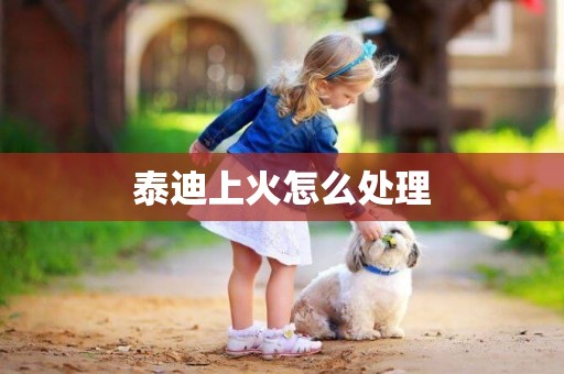 泰迪上火怎么處理
