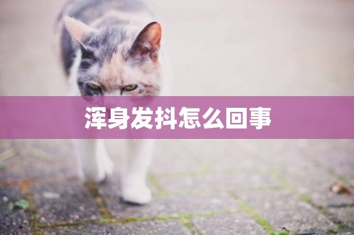 渾身發抖怎么回事