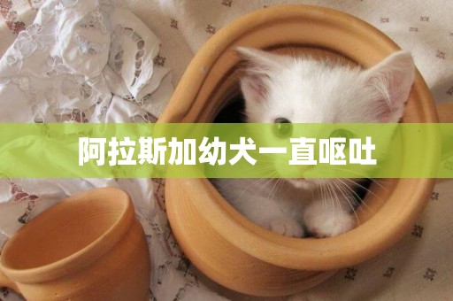 阿拉斯加幼犬一直嘔吐
