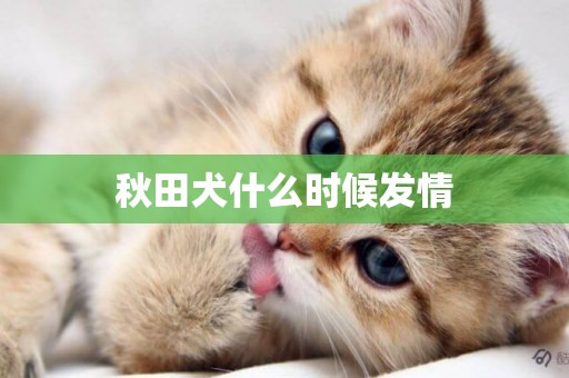 秋田犬什么時候發情