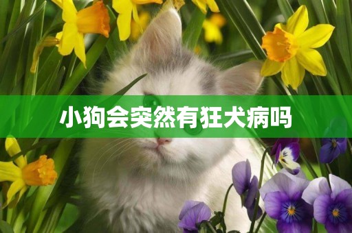 小狗會突然有狂犬病嗎