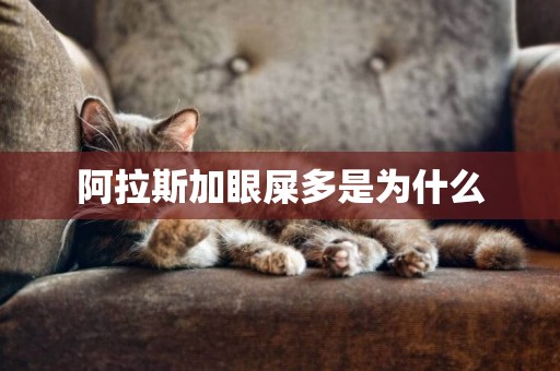 阿拉斯加眼屎多是為什么