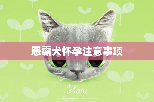 惡霸犬懷孕注意事項