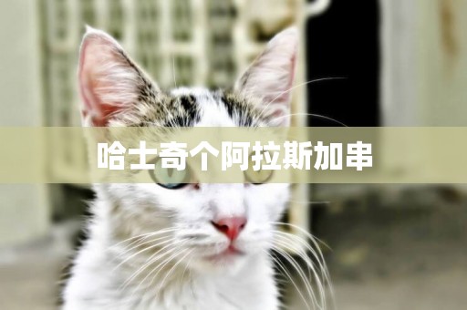 哈士奇個阿拉斯加串