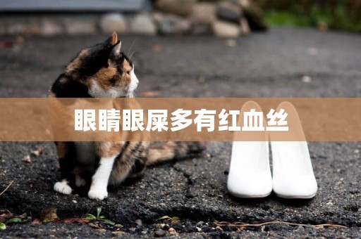 眼睛眼屎多有紅血絲