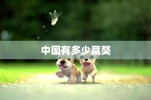 中國有多少藏獒