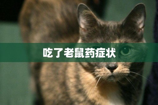 吃了老鼠藥癥狀