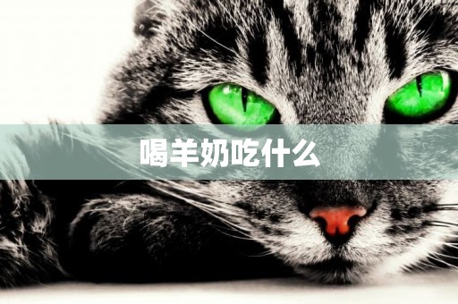 喝羊奶吃什么