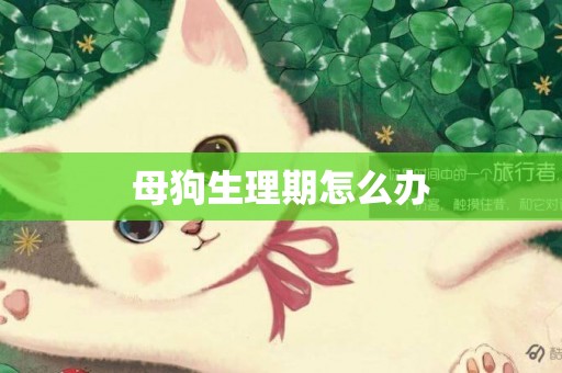 母狗生理期怎么辦