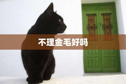 不理金毛好嗎
