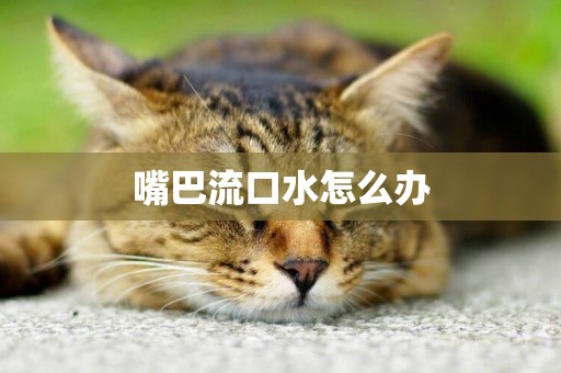 嘴巴流口水怎么辦