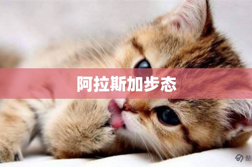 阿拉斯加步態