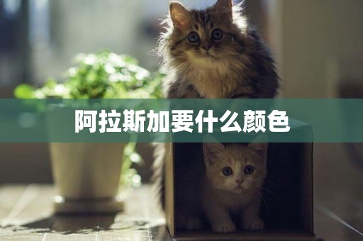 阿拉斯加要什么顏色