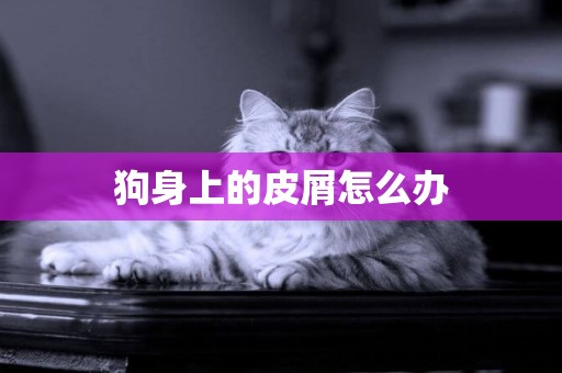 狗身上的皮屑怎么辦