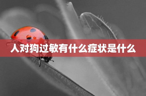 人對狗過敏有什么癥狀是什么