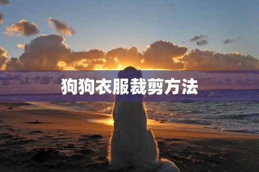 狗狗衣服裁剪方法
