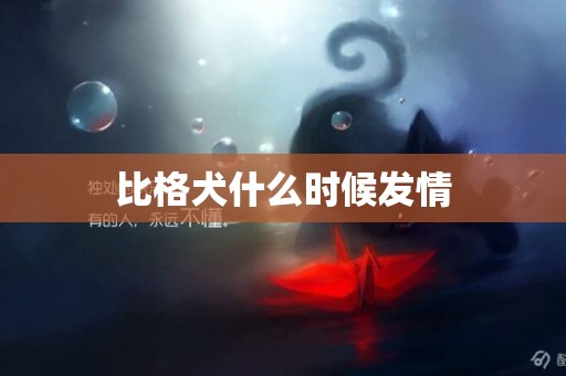 比格犬什么時候發情