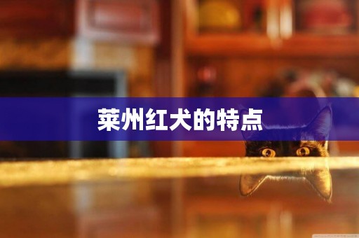 萊州紅犬的特點