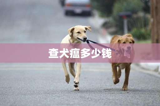 查犬瘟多少錢