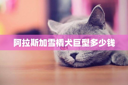阿拉斯加雪橇犬巨型多少錢
