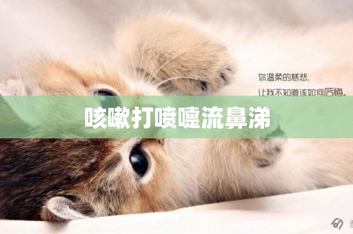 咳嗽打噴嚏流鼻涕