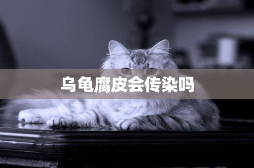 烏龜腐皮會傳染嗎