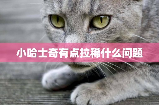 小哈士奇有點拉稀什么問題