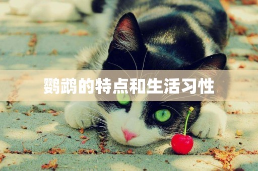 鸚鵡的特點和生活習性