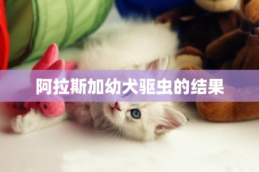 阿拉斯加幼犬驅蟲的結果