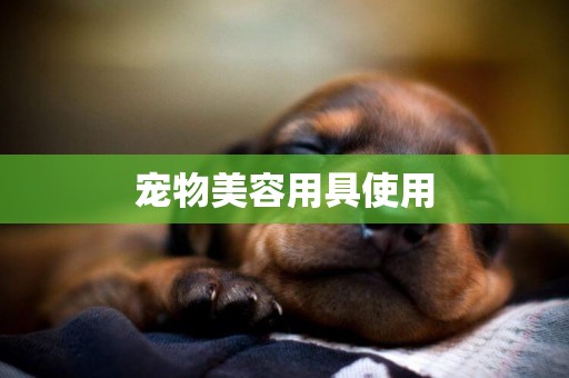 寵物美容用具使用