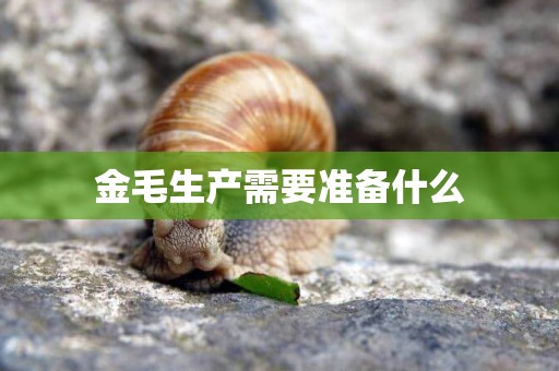 金毛生產需要準備什么