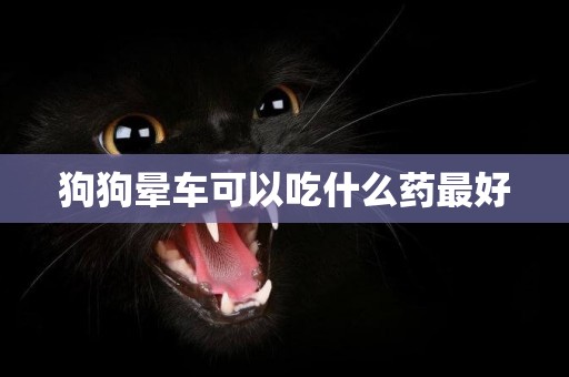 狗狗暈車可以吃什么藥最好