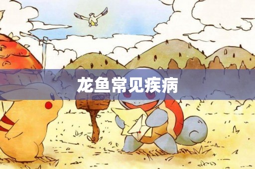 龍魚常見疾病