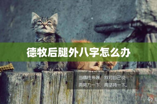 德牧后腿外八字怎么辦