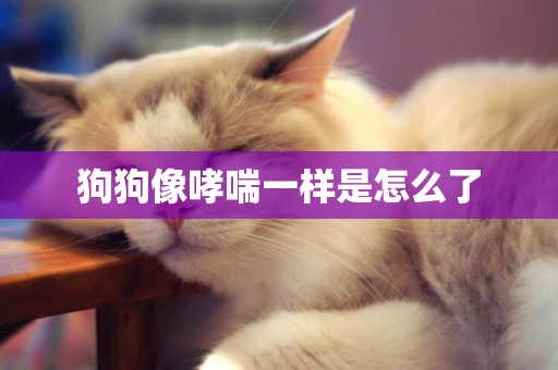 狗狗像哮喘一樣是怎么了