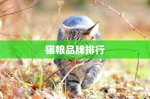 貓糧品牌排行
