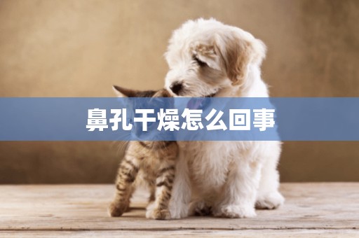 鼻孔干燥怎么回事