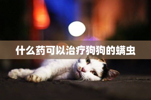 什么藥可以治療狗狗的螨蟲