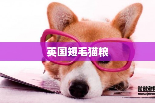 英國短毛貓糧
