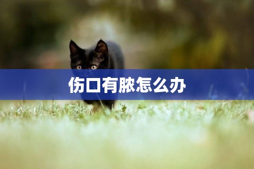 傷口有膿怎么辦