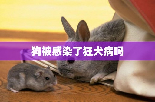 狗被感染了狂犬病嗎