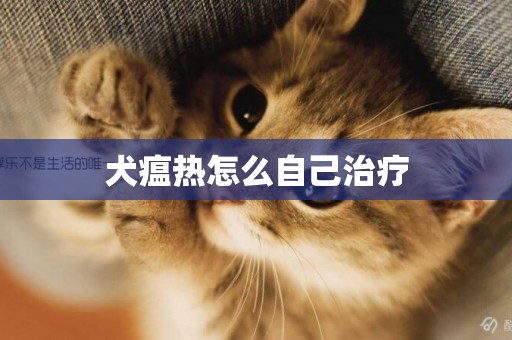 犬瘟熱怎么自己治療