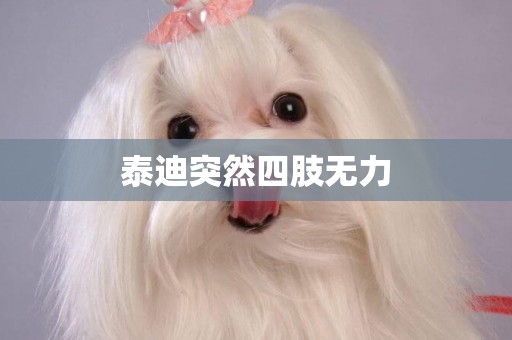 泰迪突然四肢無力